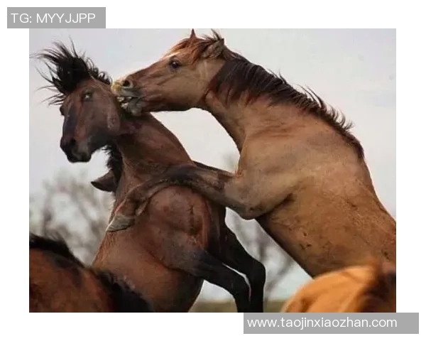 足球明星搞笑睡姿大曝光你绝对想不到他们的睡觉姿势竟然如此搞笑